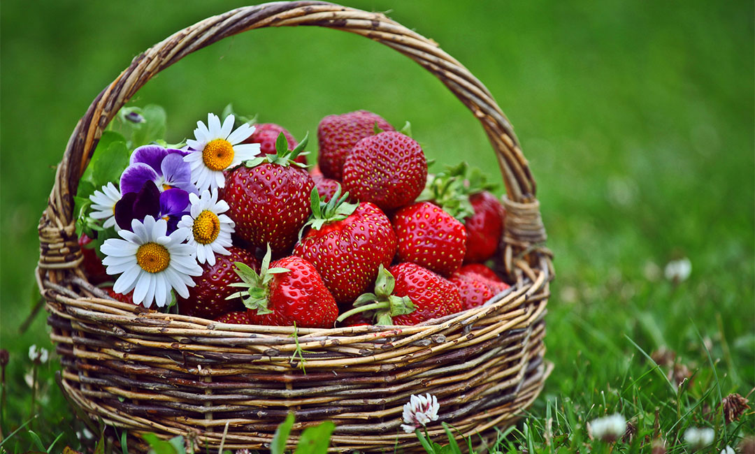 东方点呀点水果电商APP开发案例